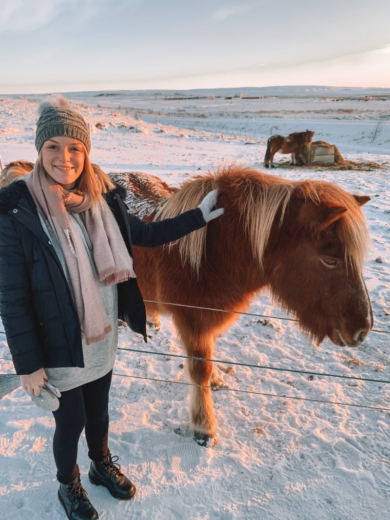 A woman with a brown, Icelandic horse. Lots of snow around. What to do in Iceland