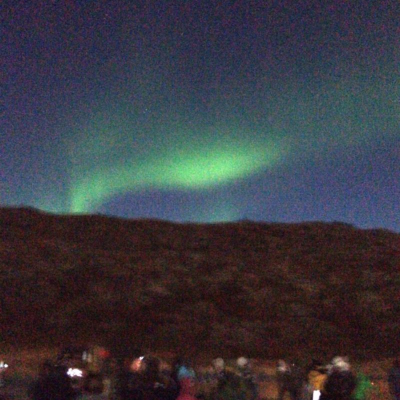 Green northern lights in the sky. What to do in Iceland