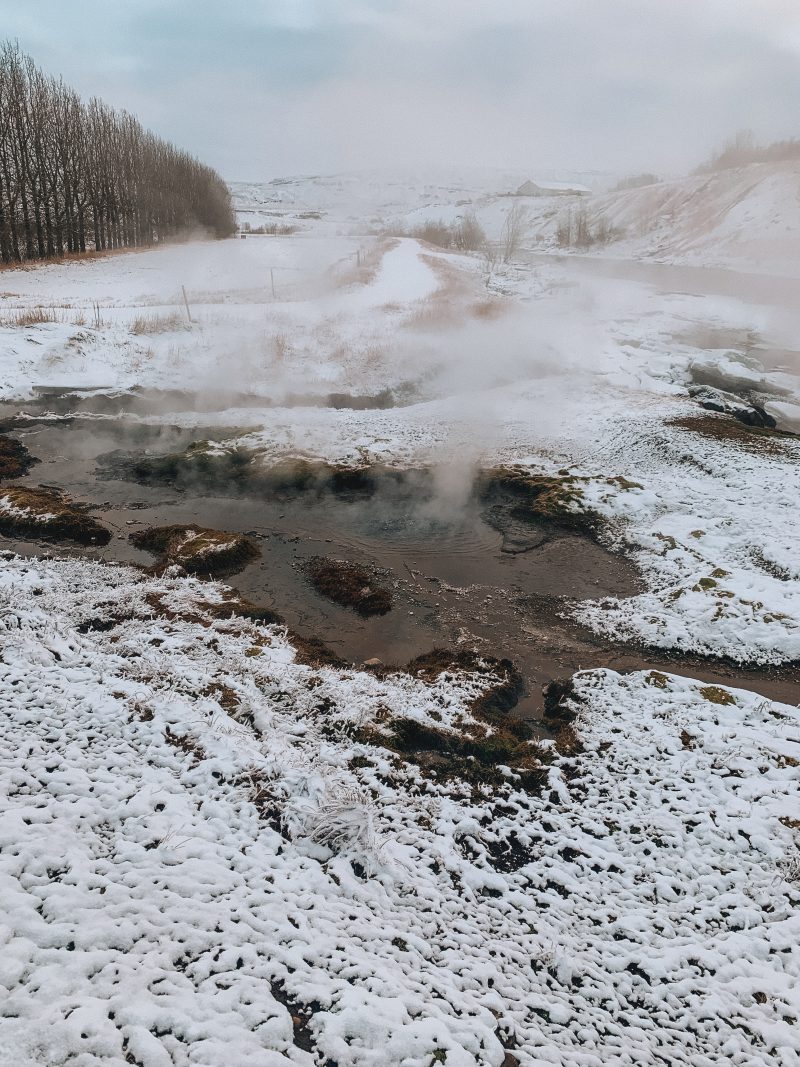 Secret Lagoon thermal springs scenery with woodland in the background. What to do in Iceland