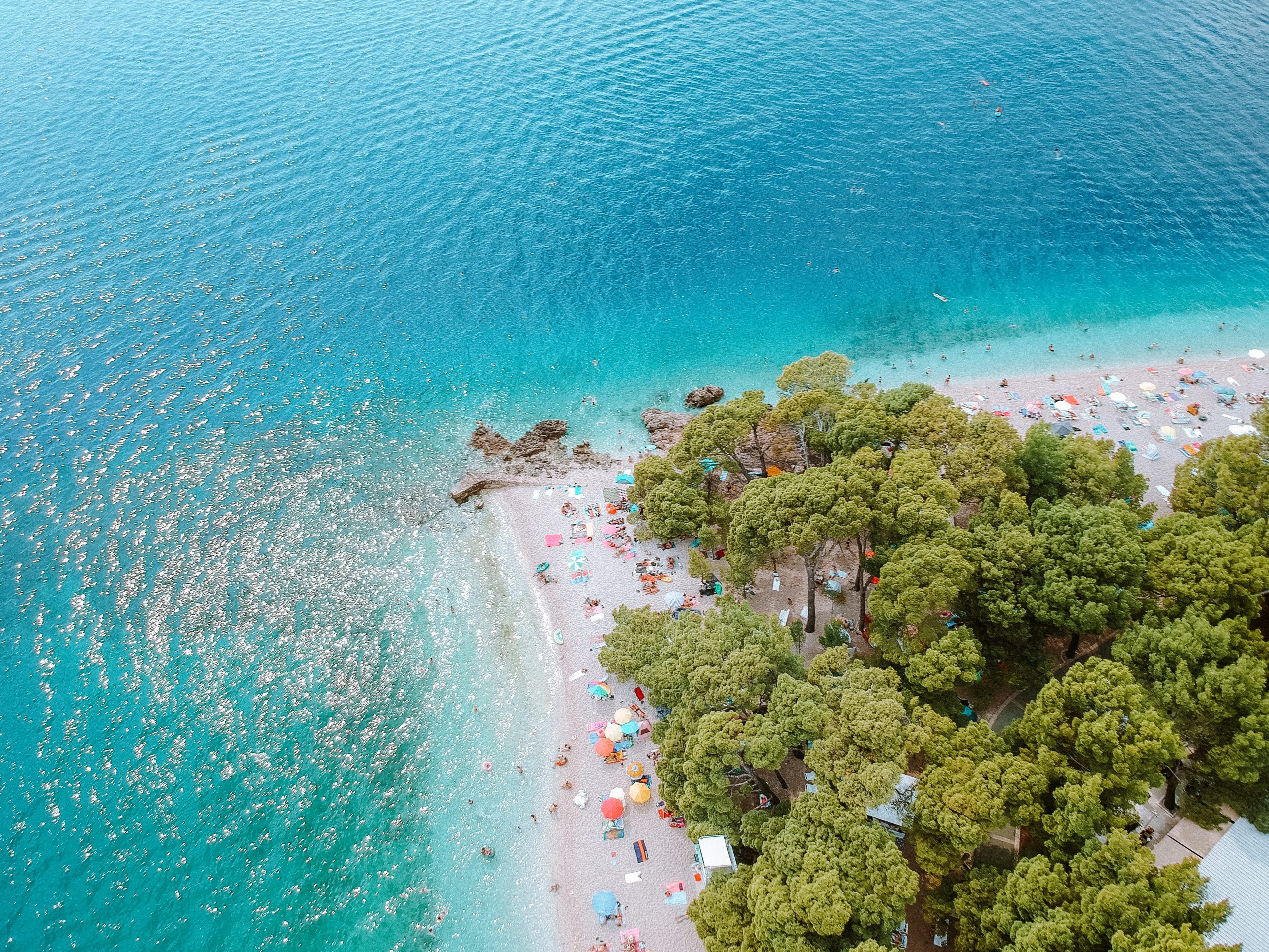 An aerial view of the coast in the Croatian Riviera. Turquoise waters and pine trees.