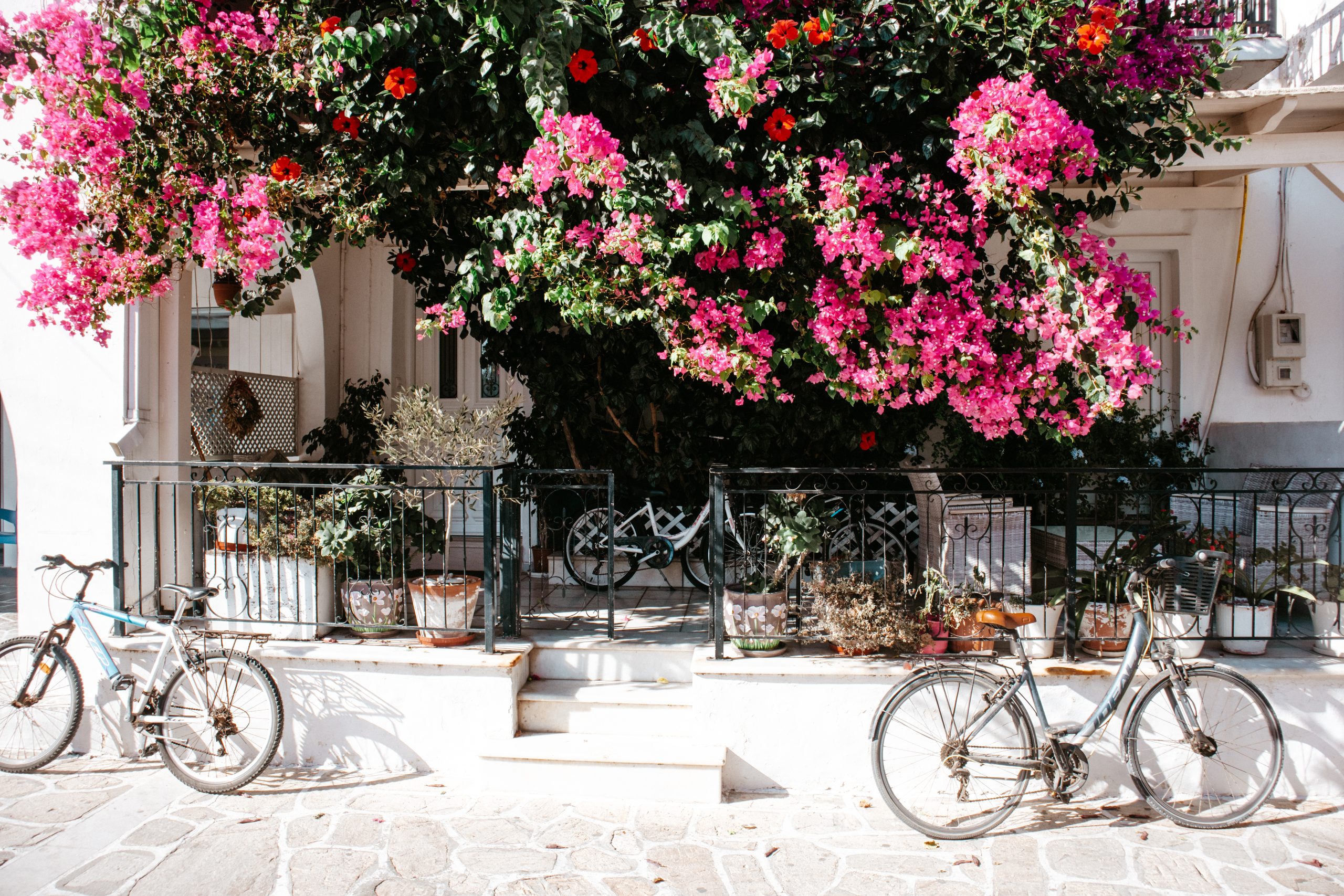 Bikes sat in front of pink flowers in Antiparos. Things to do in Antiparos