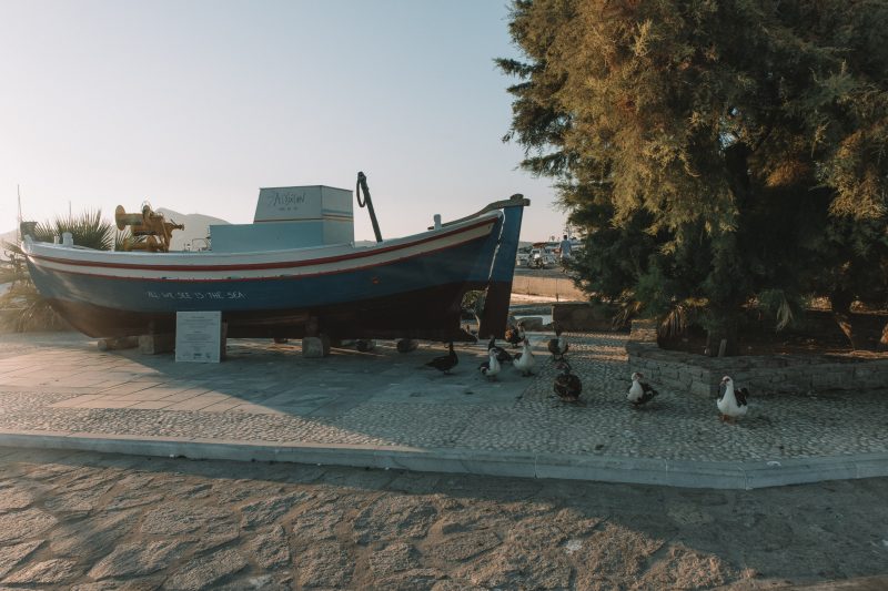 Ducks and their offspring near a boat in Naoussa